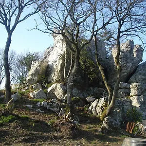 le-rocher-du-samoyede.inbrittany.com/